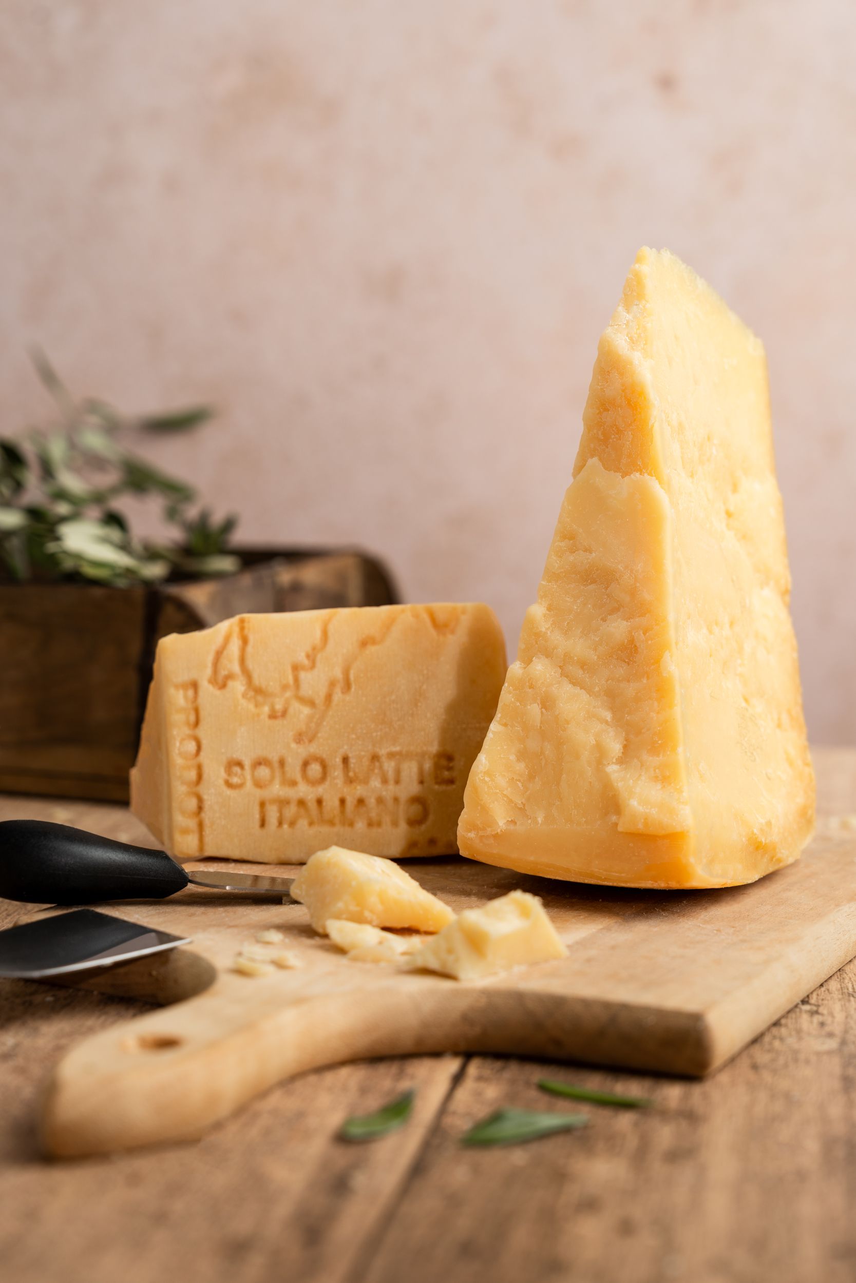 Südtirol Bianco d'Italia Frescalpin Italian Cheese Photography nannls