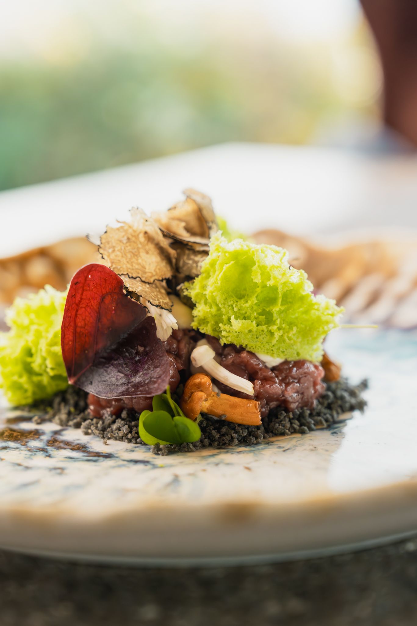SchwarzLanerAnna nannls FoodHerbst Web 63