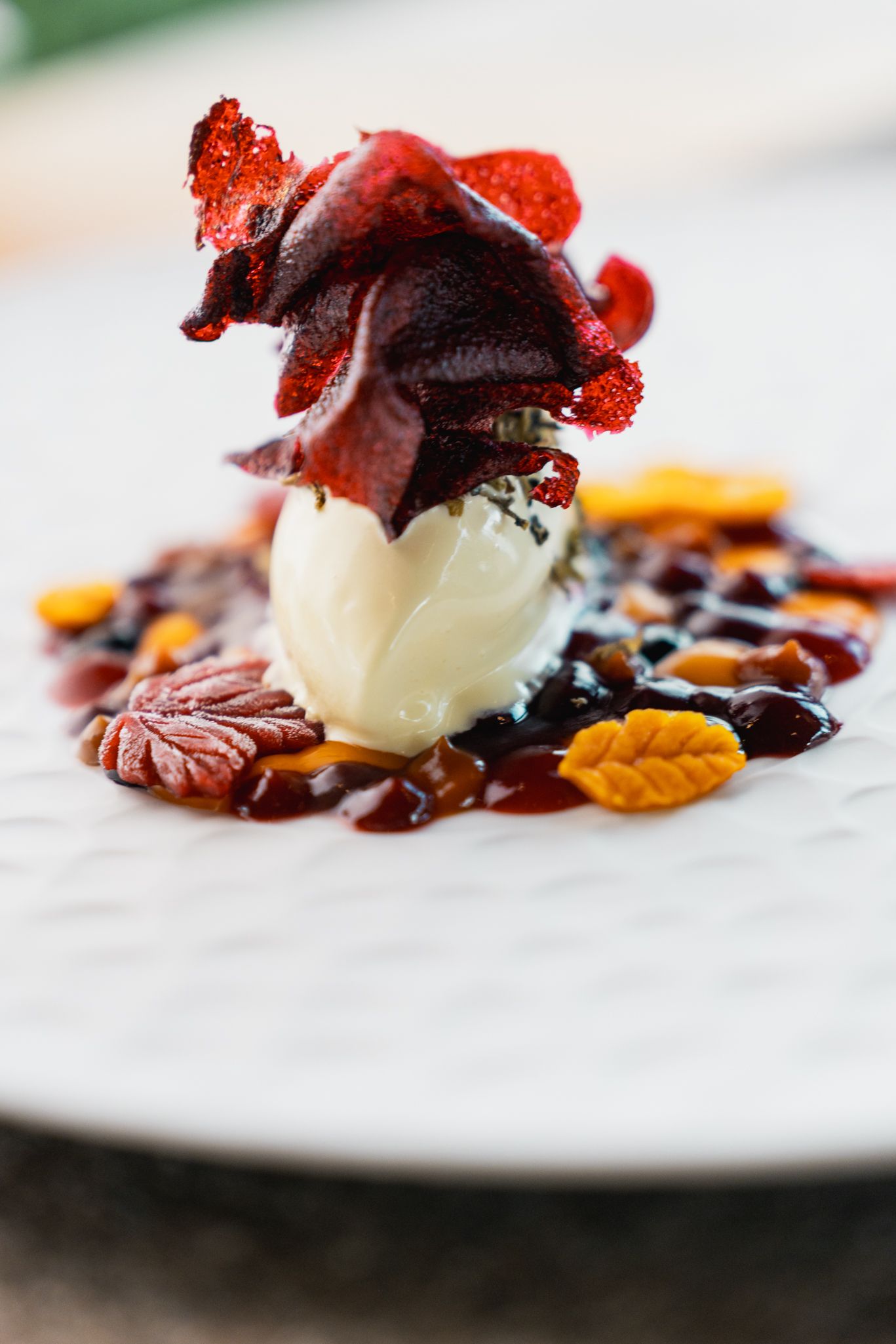 SchwarzLanerAnna nannls FoodHerbst Web 84